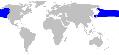 Stejneger's beaked whale habitat map