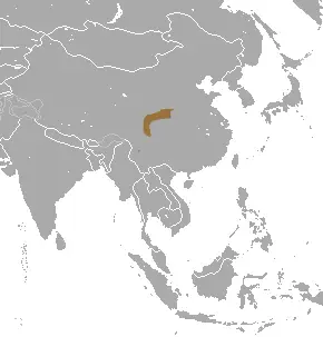 Chinese shrew mole habitat map