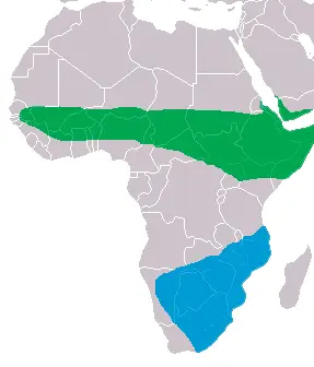 Abdim's stork habitat map