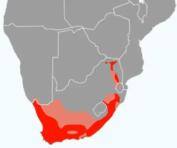 Southern double-collared sunbird habitat map