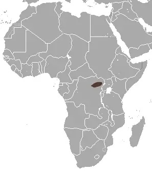 Congo white-toothed shrew habitat map