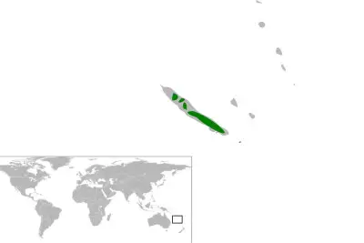 New Caledonian cuckooshrike habitat map