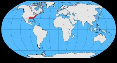 Corvo pescatore mappa dell'habitat