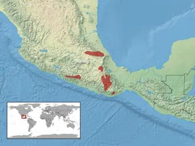 Crotalus intermedius habitat map