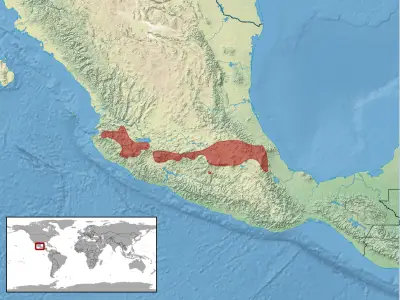 Crotalus triseriatus habitat map