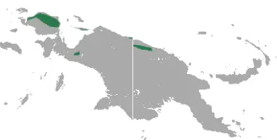 D'Albertis' ringtail possum habitat map