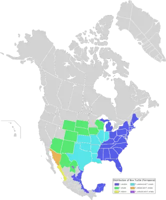Eastern Box Turtle habitat map