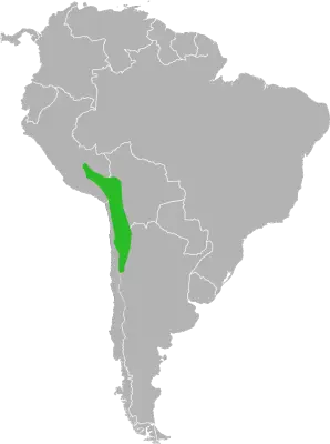 Short-Tailed Chinchilla habitat map