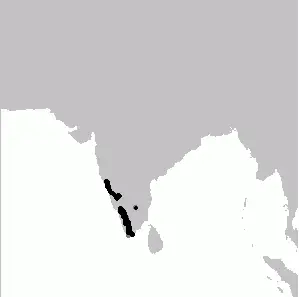 White-bellied treepie habitat map