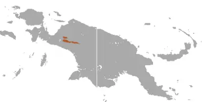 Dendrolagus mbaiso карта середовища проживання