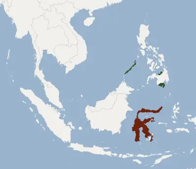 Sulawesi free-tailed bat habitat map