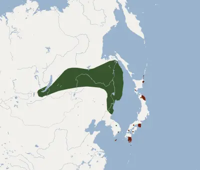 Far Eastern myotis habitat map