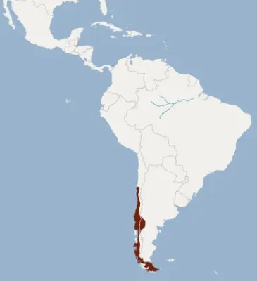 Chilean myotis habitat map