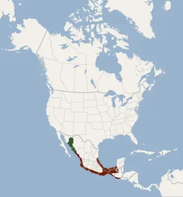 Cinnamon myotis habitat map