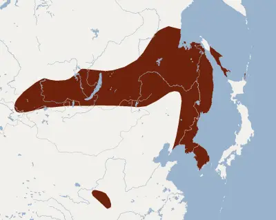 Ikonnikov's bat habitat map