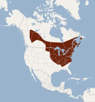 Myotis septentrionalis habitat map