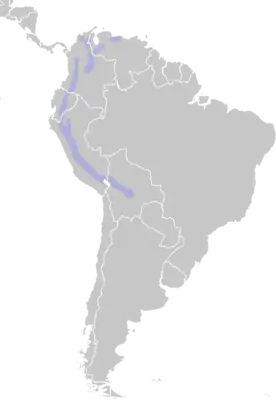 Tyrian metaltail habitat map