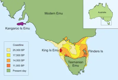 Тасманійський ему карта середовища проживання