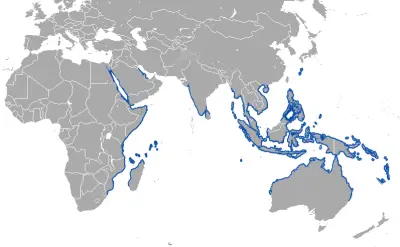 Dugong habitat map