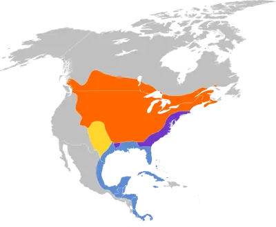 Gray Catbird habitat map
