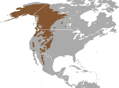 Montane shrew habitat map