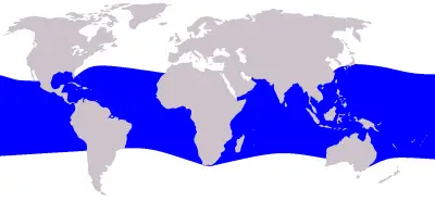 Melon-Headed Whale habitat map