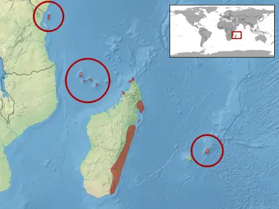 Madagascar clawless gecko habitat map