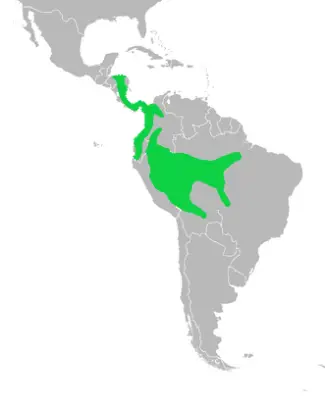 Broad-billed motmot habitat map