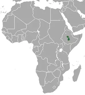 Ethiopian highland hare habitat map