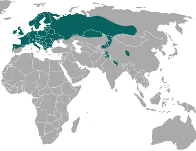 Eurasian Pygmy Shrew habitat map