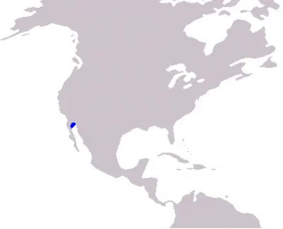 Vaquita habitat map
