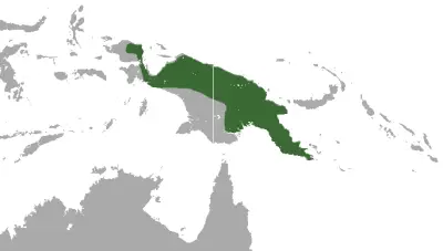 Feather-tailed possum habitat map