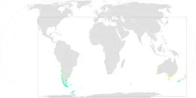 Southern Giant Petrel habitat map