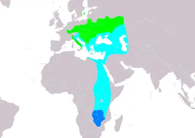 Collared flycatcher habitat map