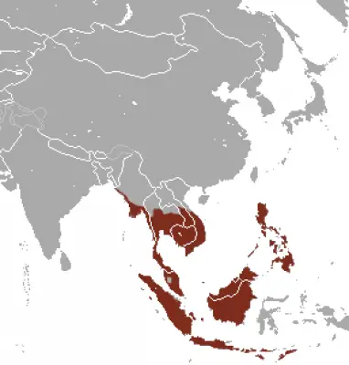 Long-Tailed Macaque habitat map