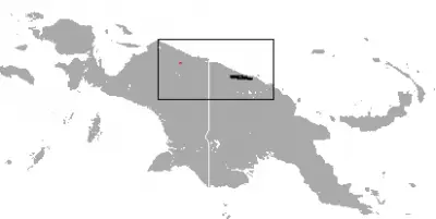 Dendrolagus pulcherrimus карта середовища проживання