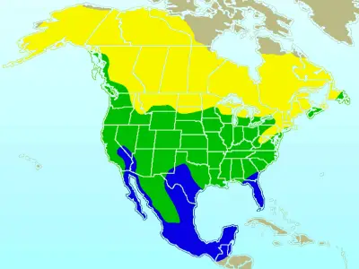 American Robin habitat map
