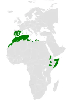 Thekla's lark habitat map