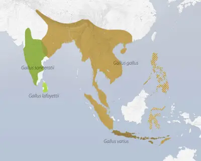 Green junglefowl habitat map