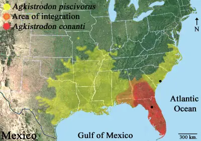 Agkistrodon piscivorus conanti habitat map