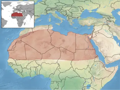 Lesser Egyptian gerbil habitat map