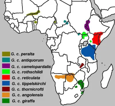 Nubian giraffe habitat map