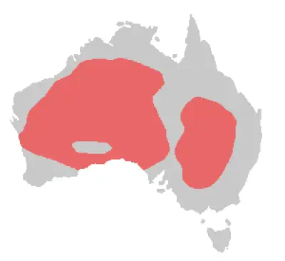 Major Mitchell's Cockatoo habitat map