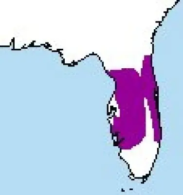 Florida Scrub-Jay habitat map