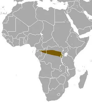 Gracile naked-tailed shrew habitat map