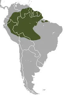 Greater long-nosed armadillo habitat map