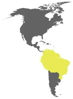 Greater yellow-headed vulture habitat map