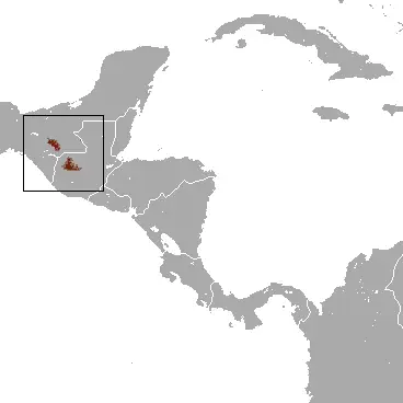 Guatemalan broad-clawed shrew habitat map