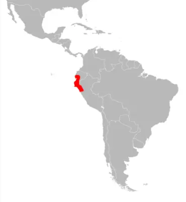 Guayaquil squirrel habitat map