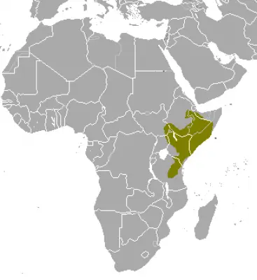 Lesser Kudu habitat map